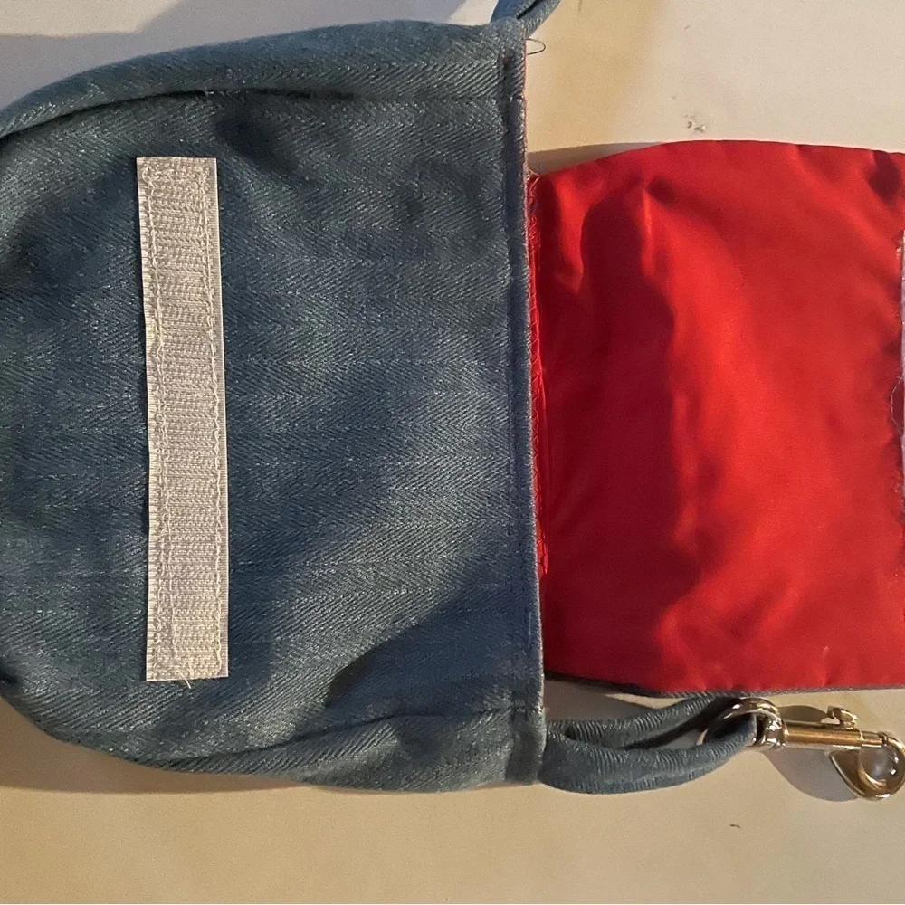 Sassy Belt Purse
